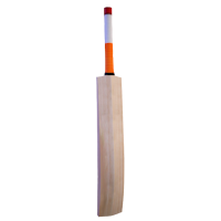 cricket_bat.png