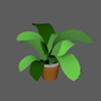 plant1.jpg