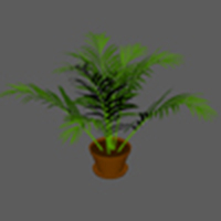 plant2.jpg