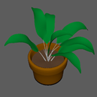 plant4.jpg