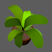 plant6.jpg